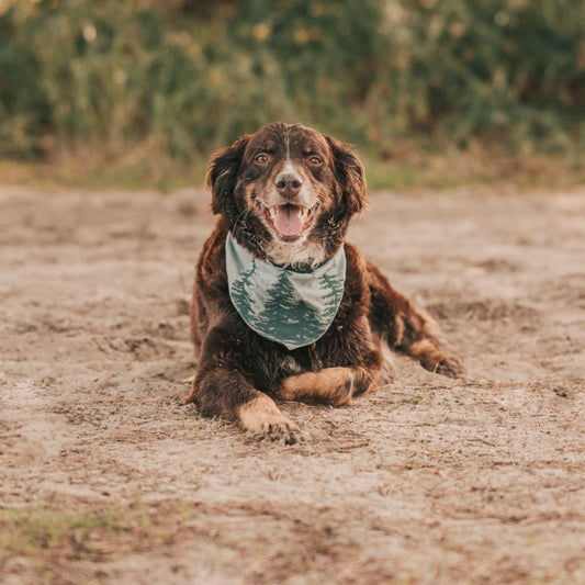 Bandana - MISTY FOREST