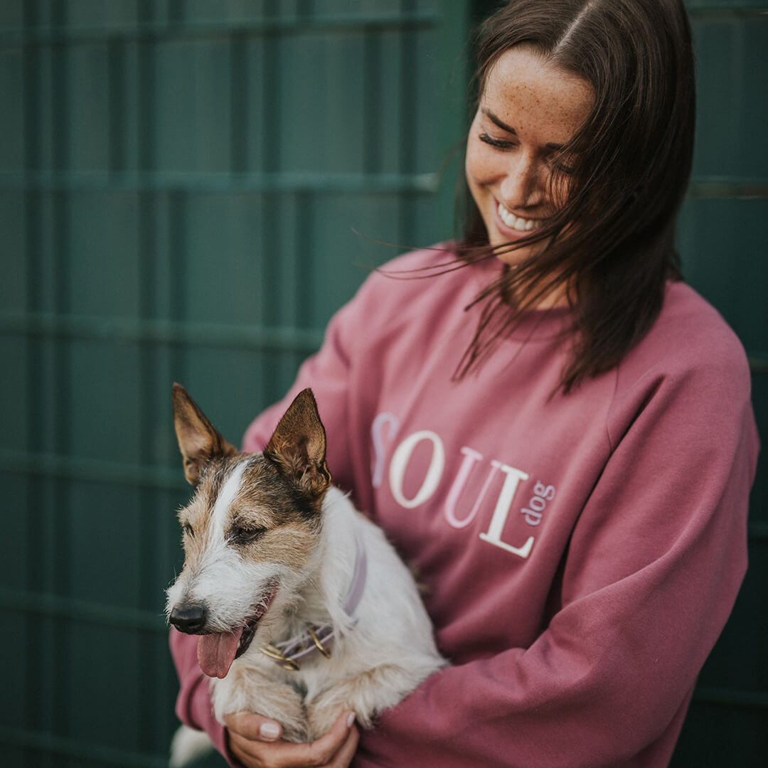 DOGLIFE Bundle: Sweater + Goodiebag