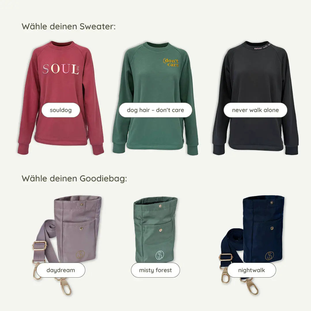 DOGLIFE Bundle: Sweater + Goodiebag