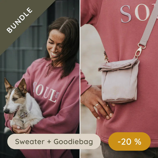 DOGLIFE Bundle: Sweater + Goodiebag